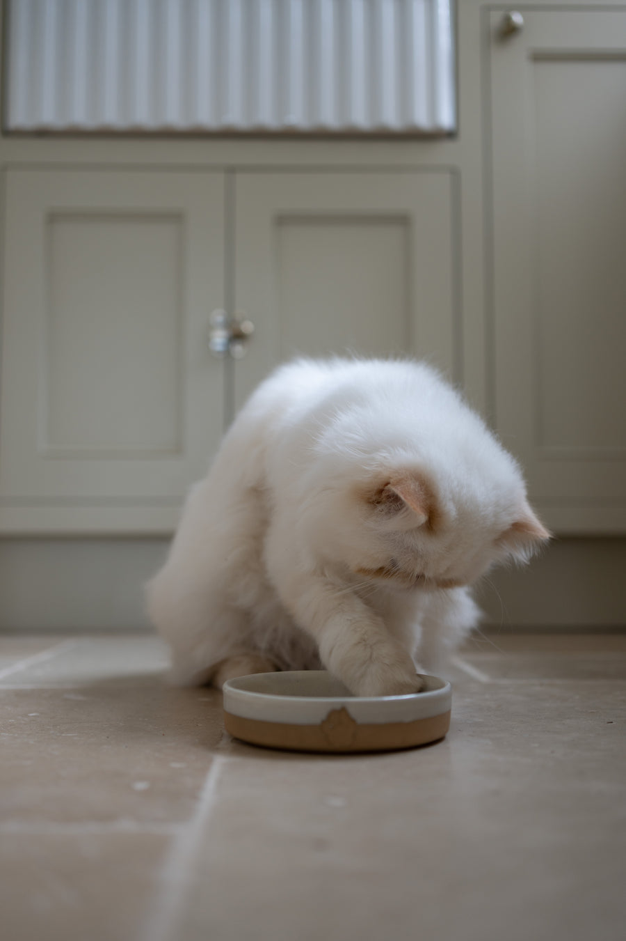 Stoneware Small Pet Bowl | Milk White