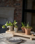 The Rustic Plank Serving Board