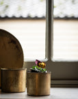 Set of Two Beaded Brass Pots