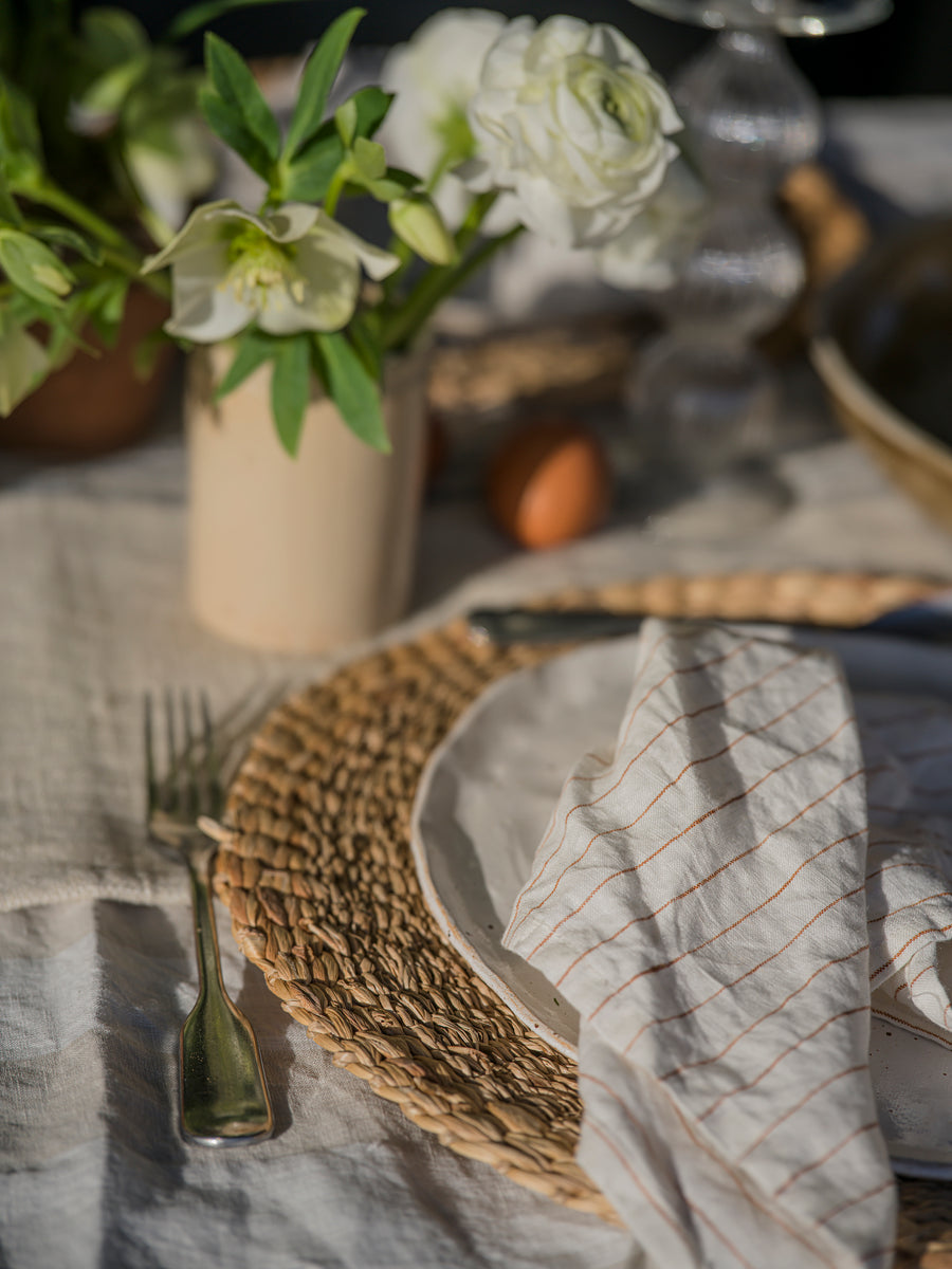 The Provence Stripe Napkins | Fine Ginger Stripe