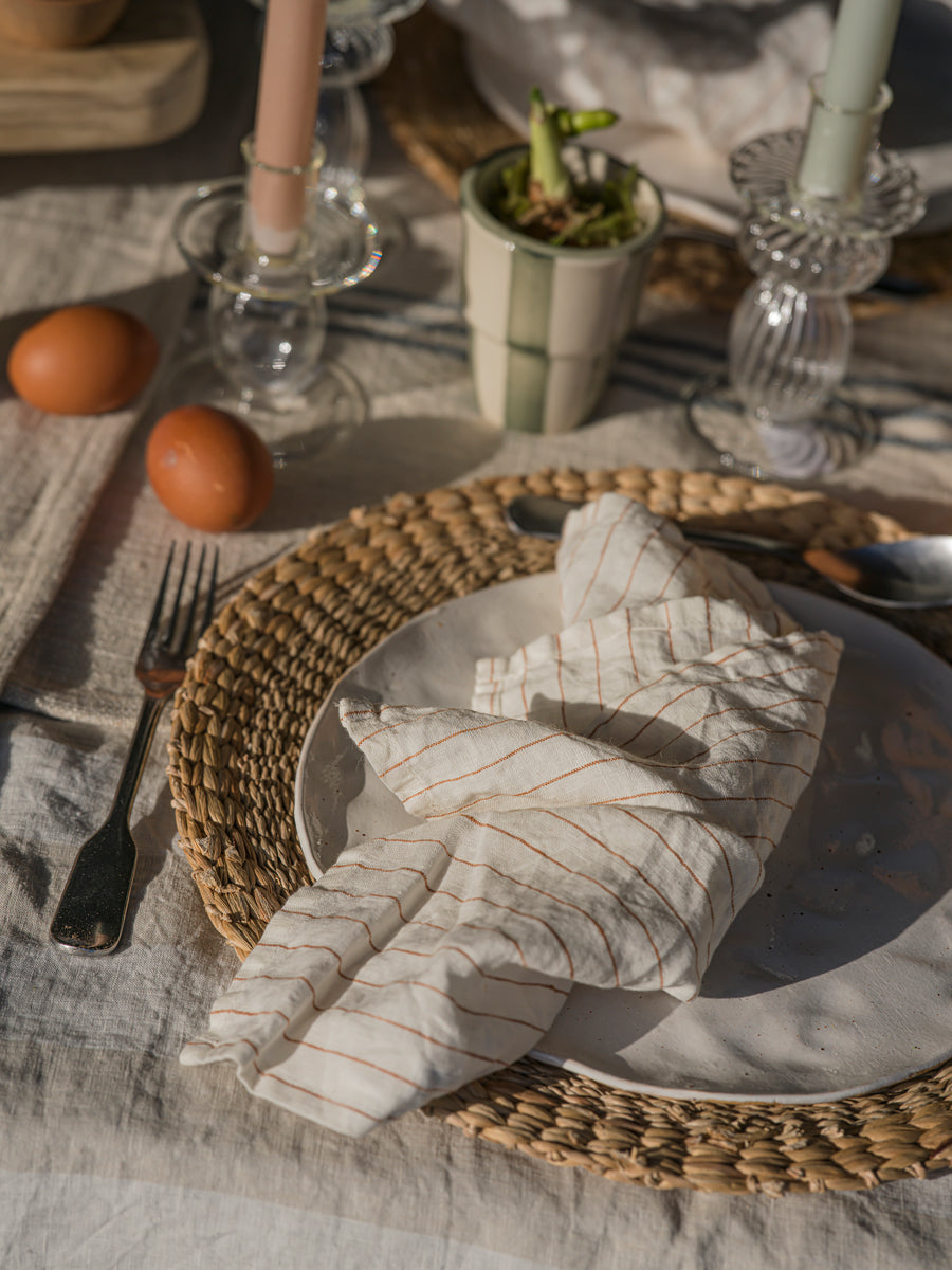 The Provence Stripe Napkins | Fine Ginger Stripe