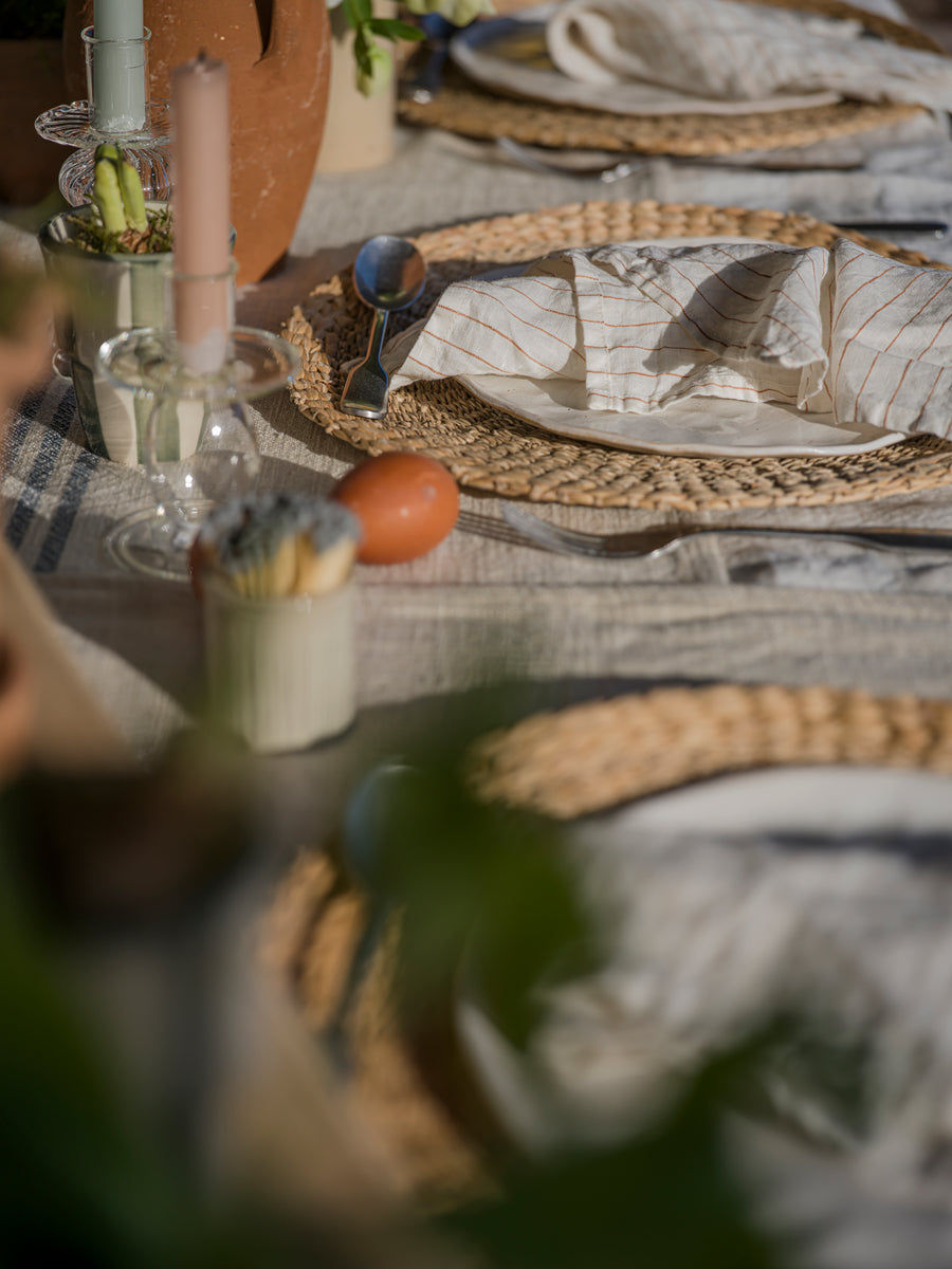 Water Hyacinth Set of 2 Placemats