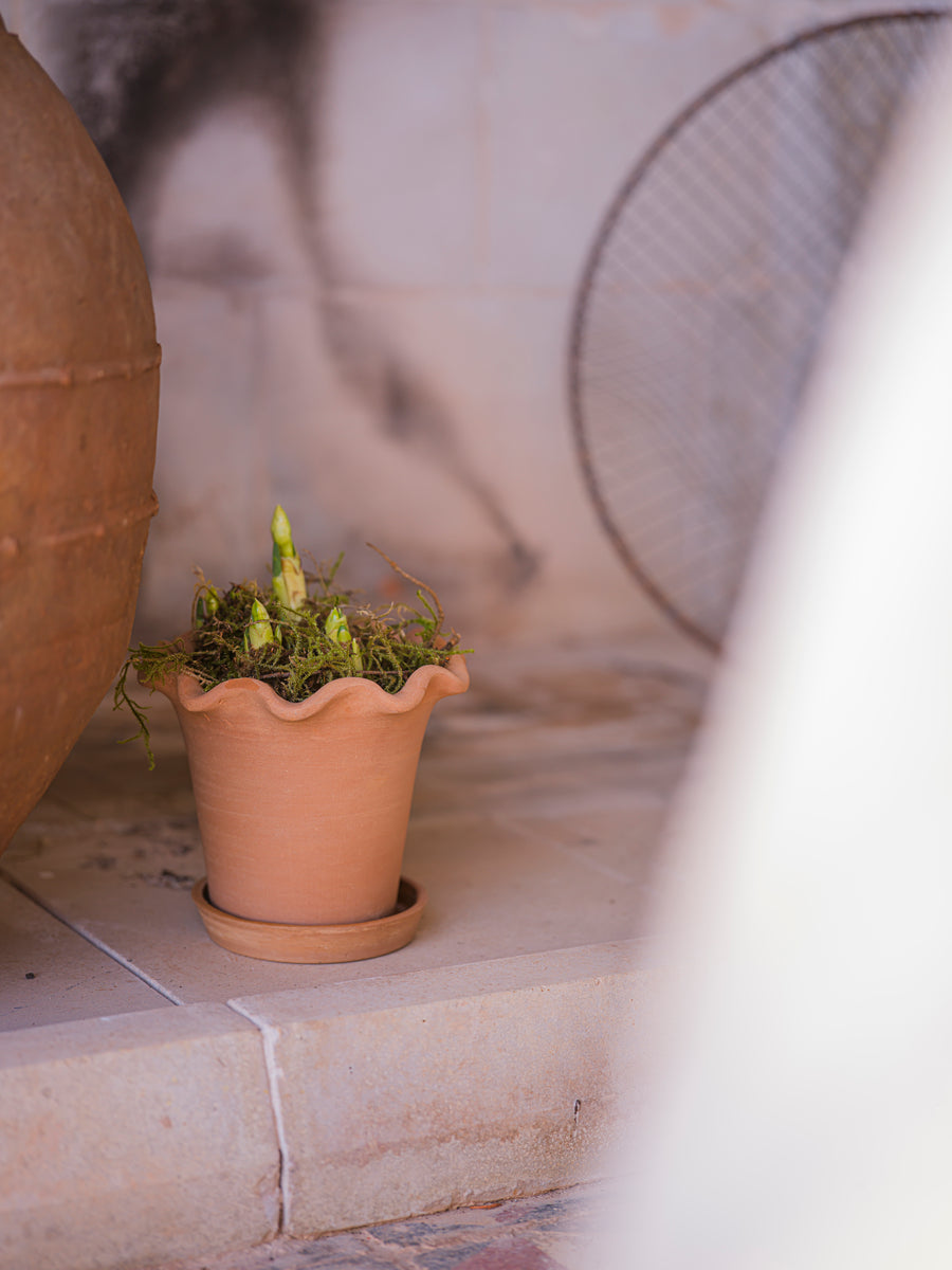 The Frilly Plant Pot