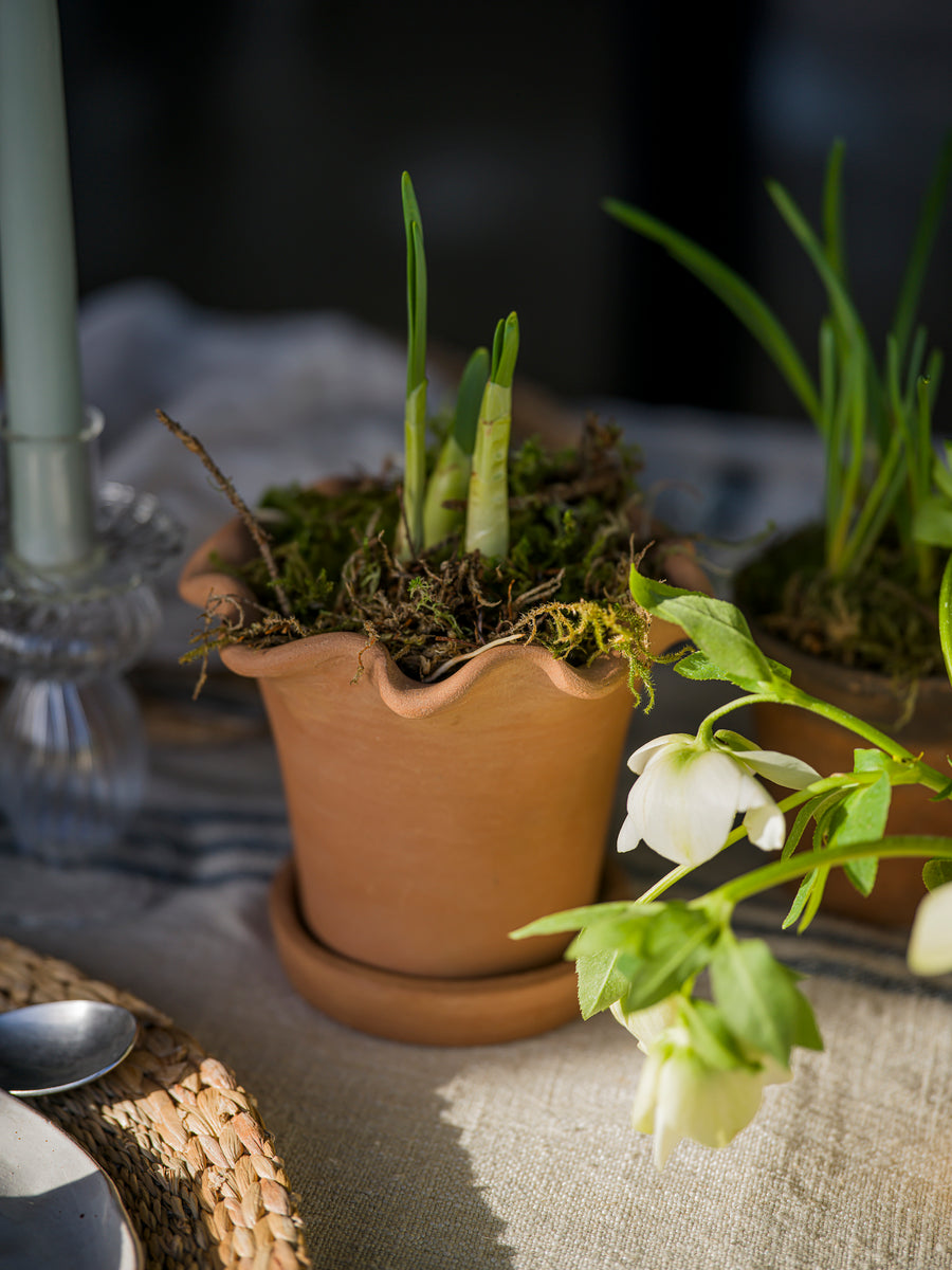 The Frilly Plant Pot