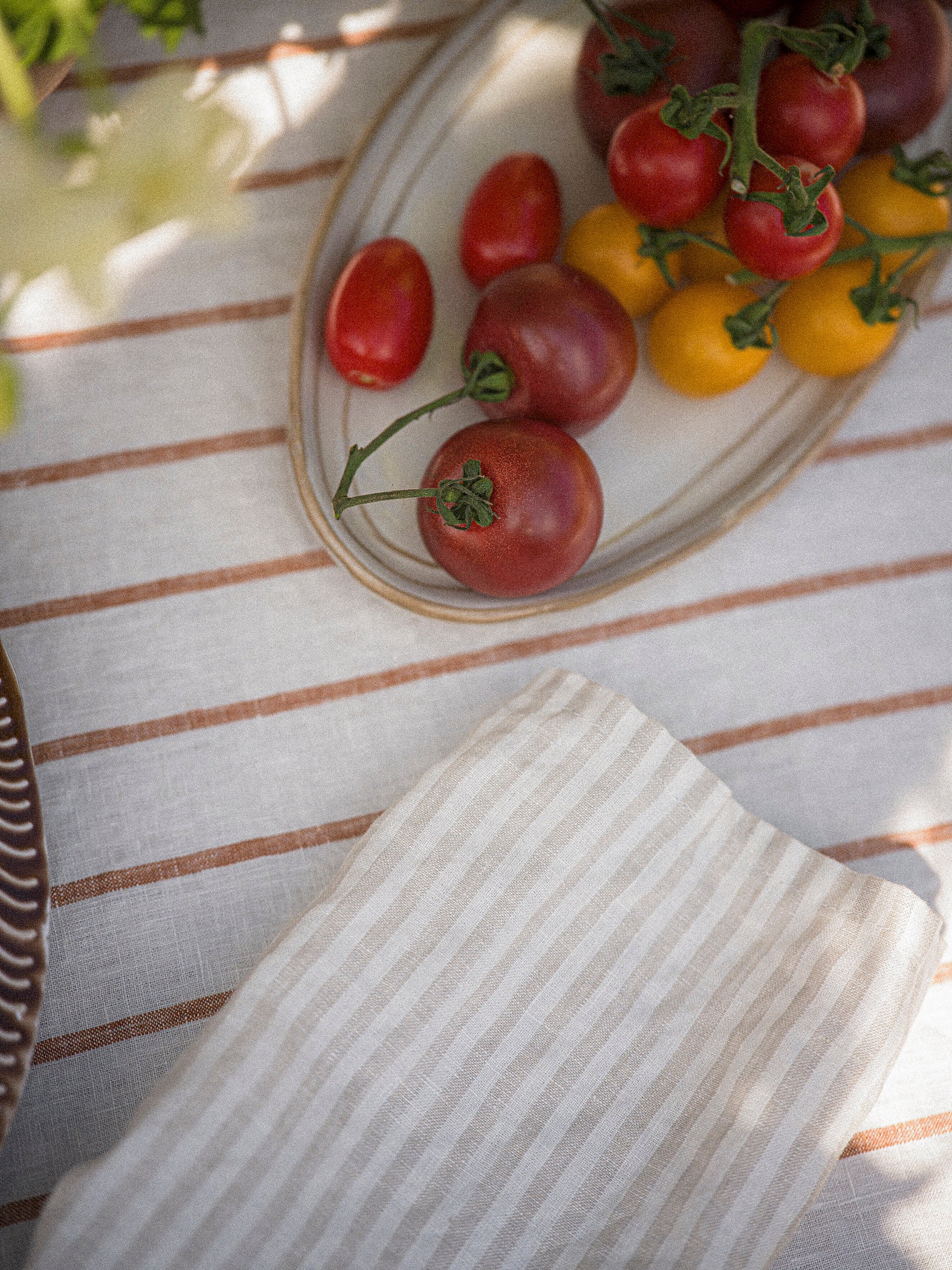 The Provence Stripe Napkins | Natural Stripe