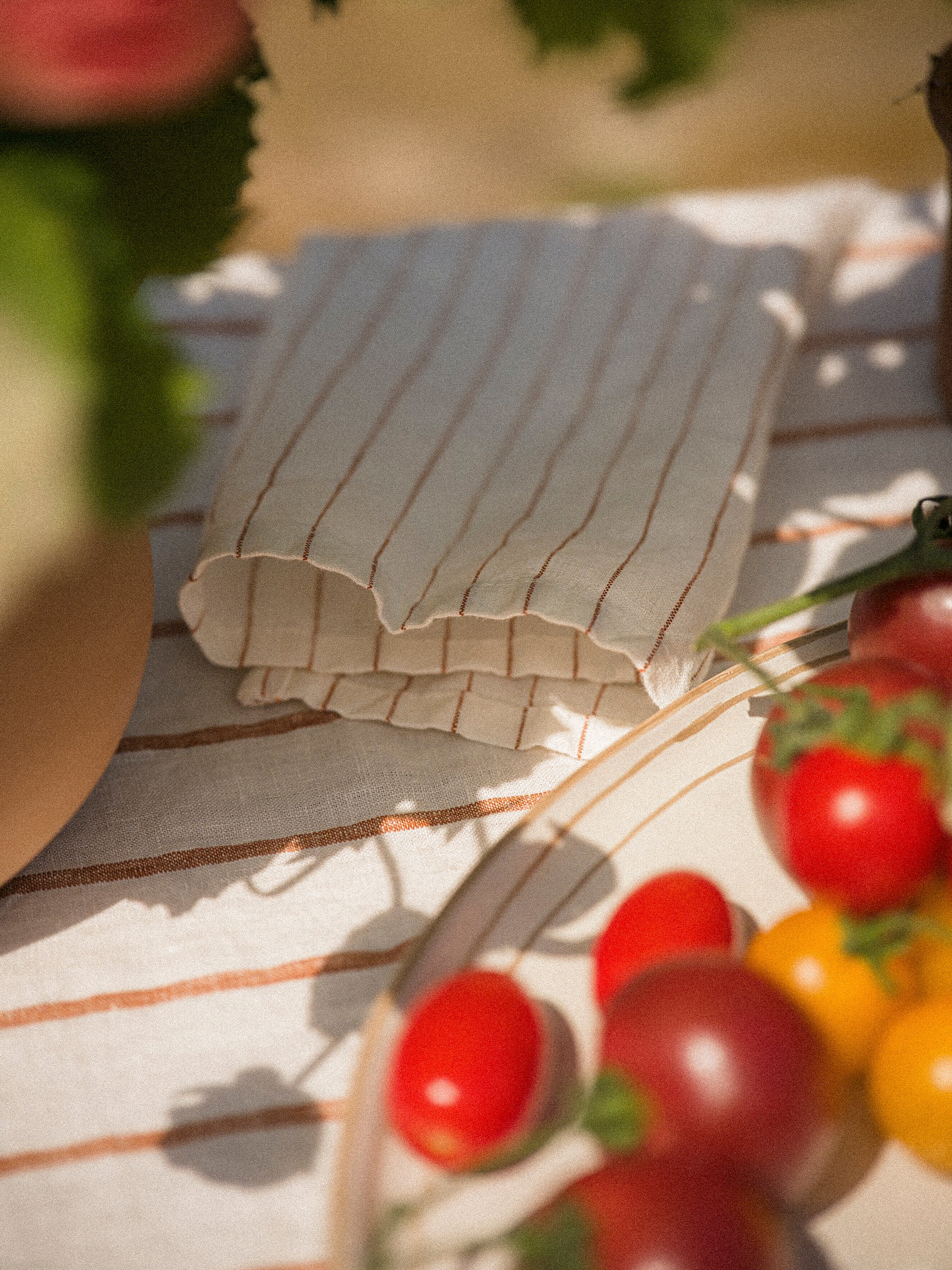 The Provence Stripe Napkins | Fine Ginger Stripe