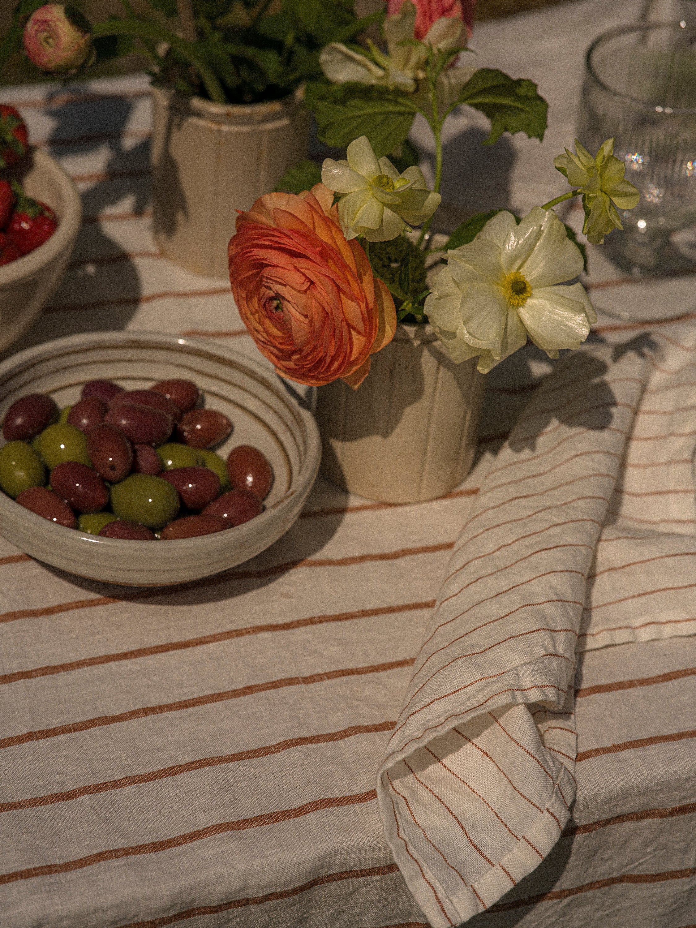 The Provence Stripe Napkins | Fine Ginger Stripe