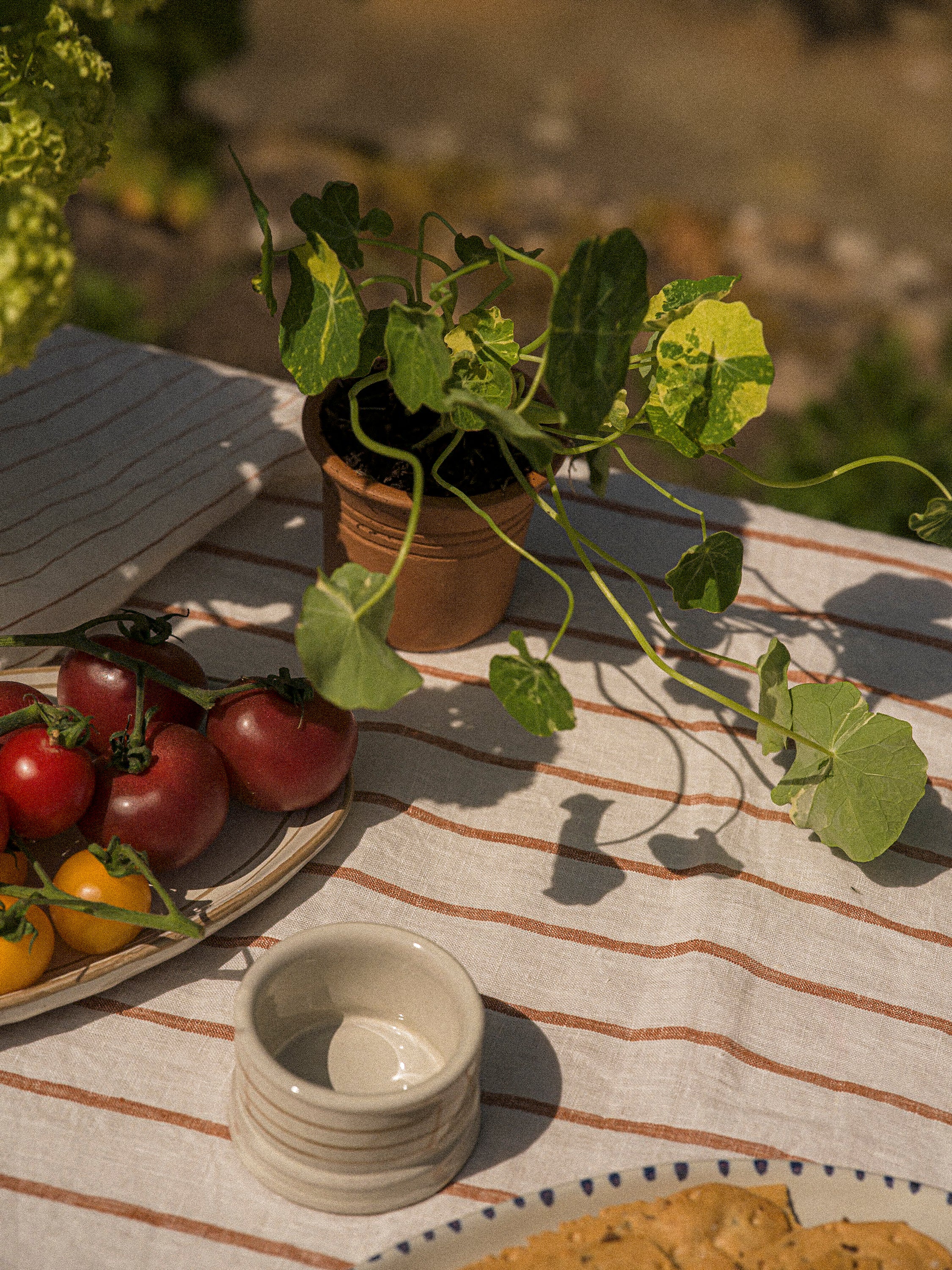 Tuscan Terracotta Cups