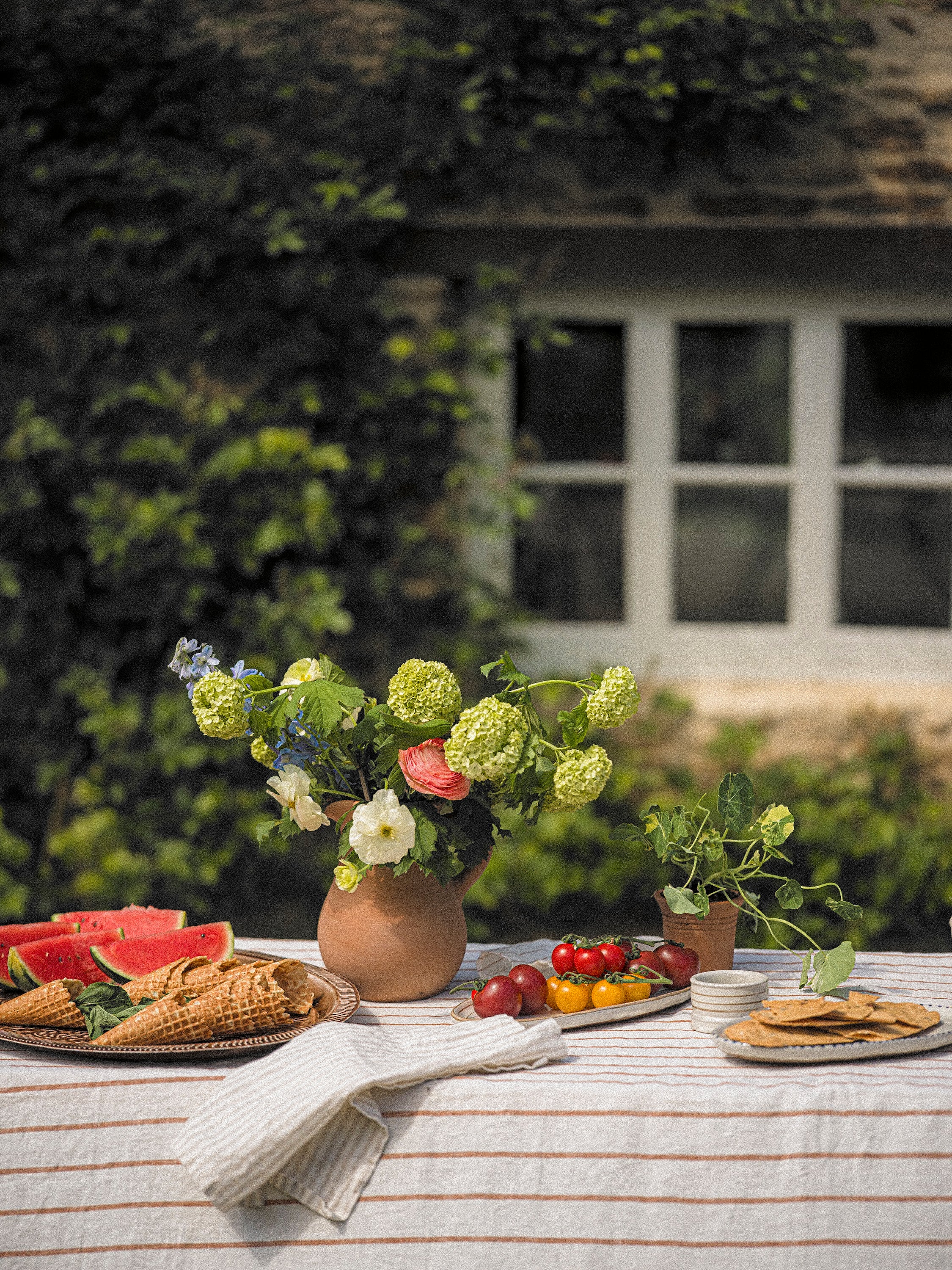 The Provence Stripe Napkins | Natural Stripe
