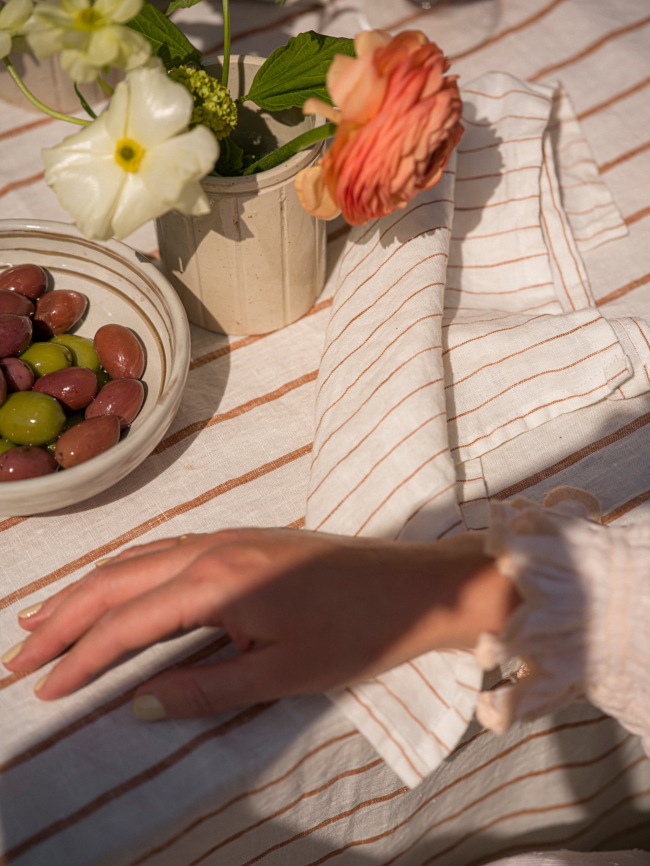 The Provence Stripe Napkins | Fine Ginger Stripe
