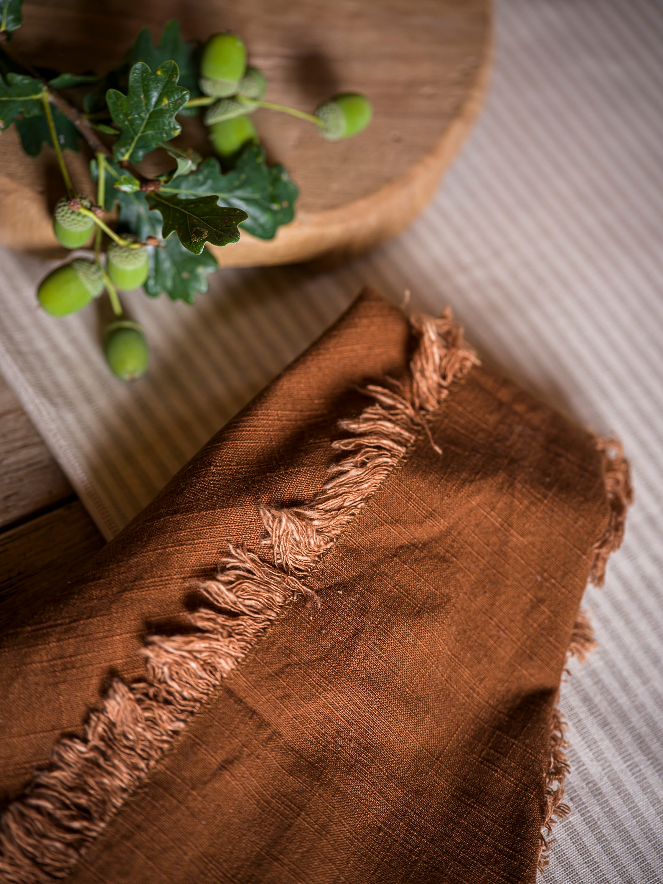 Washed Muse Napkin Set of 4 | Ginger