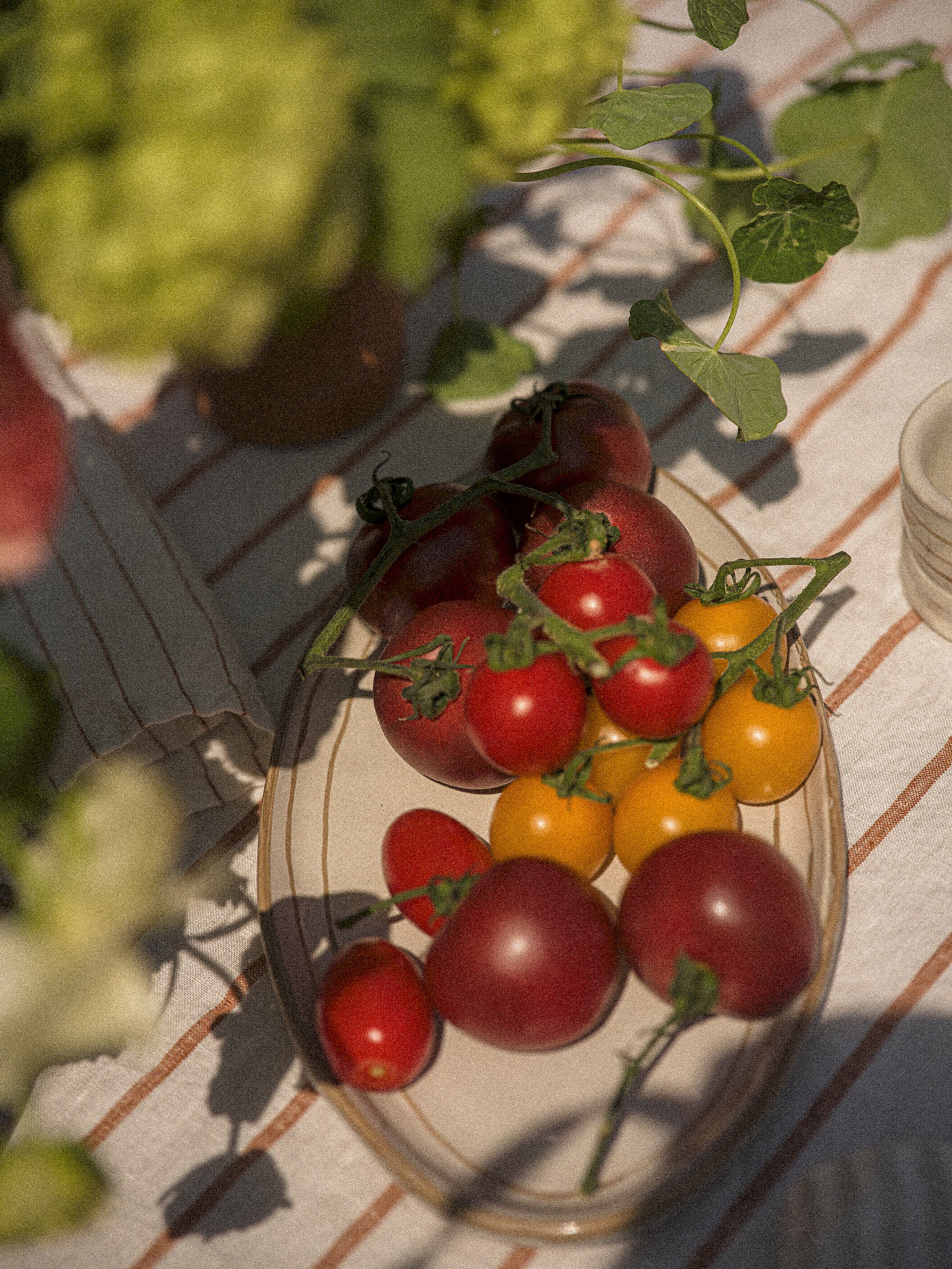 Hand Painted Breton Stripe Oval Plate | Taupe