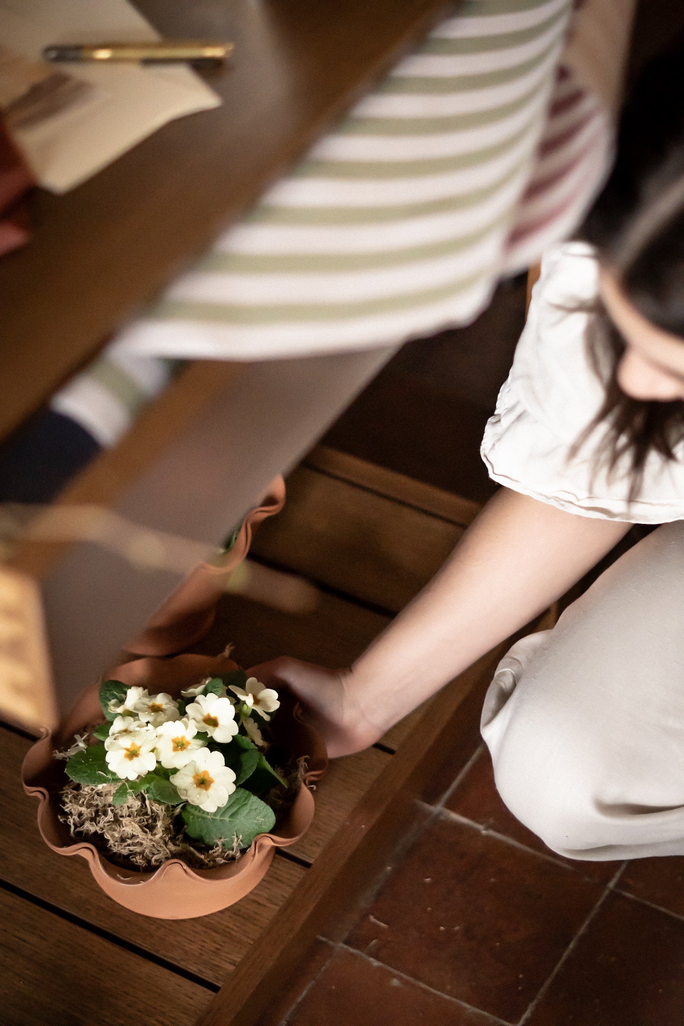 The Fine Frilly Plant Pot