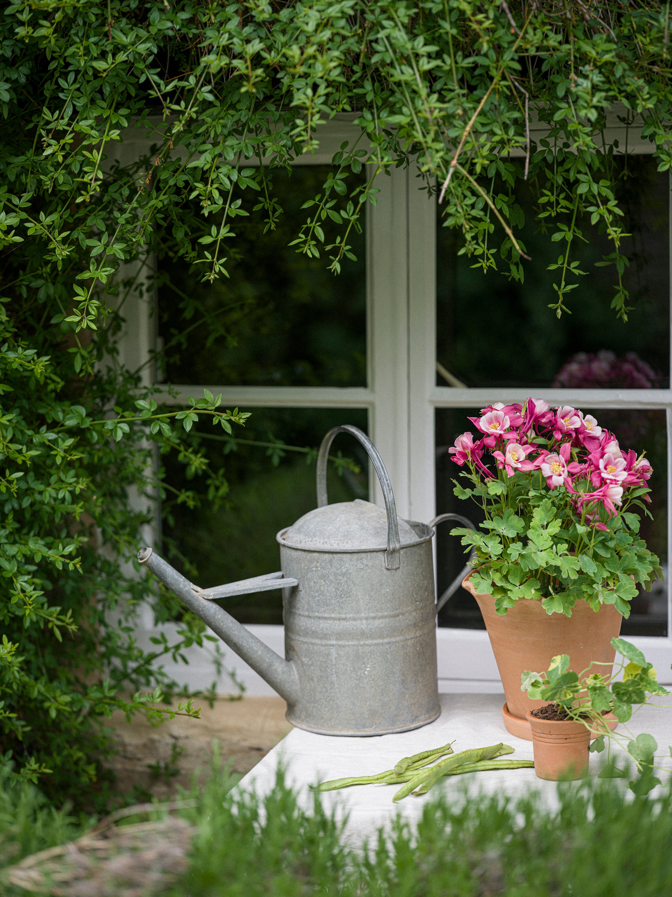 Tuscan Terracotta Cups