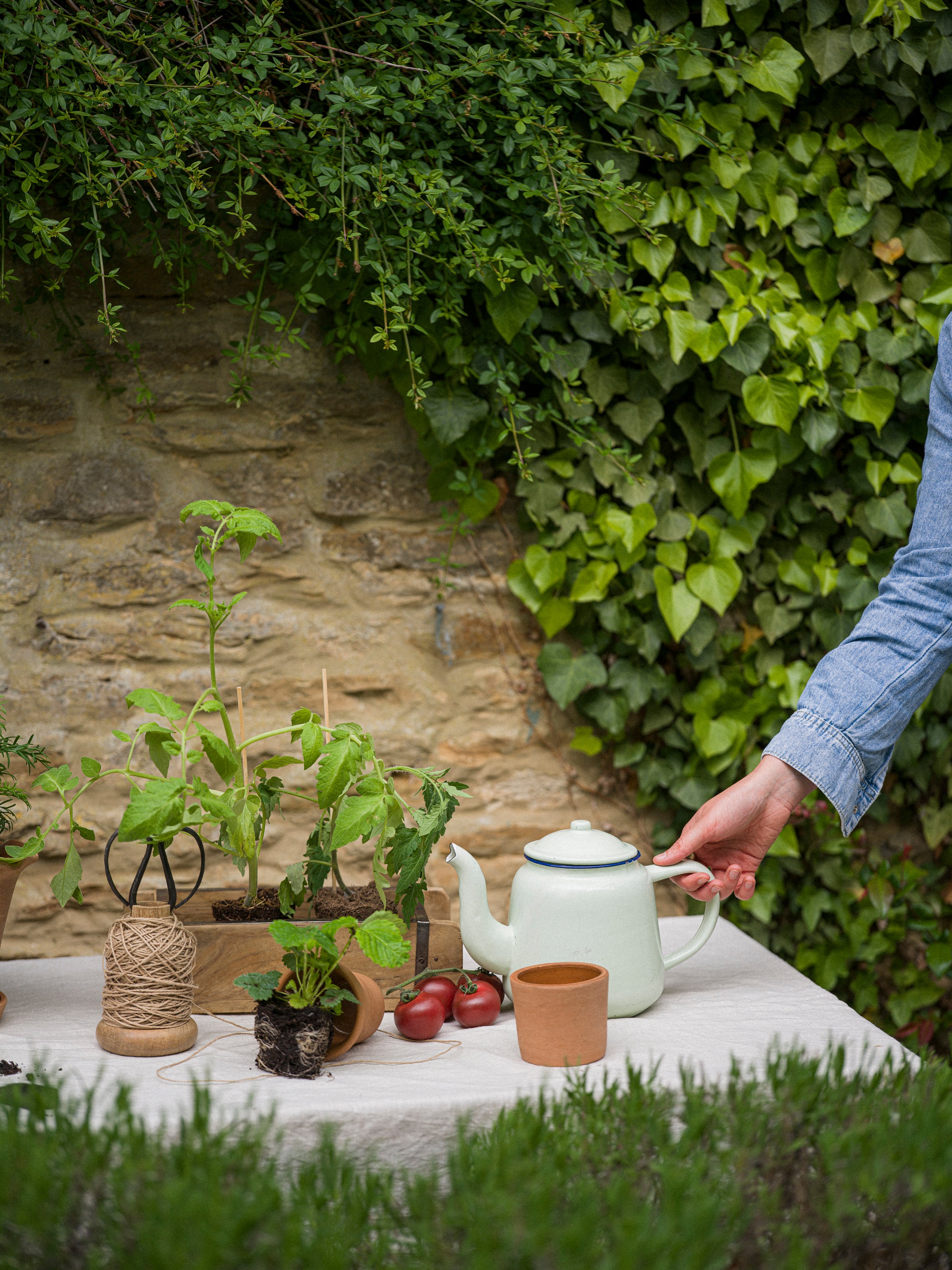 Garden Twine & Scissors (in cotton bag)