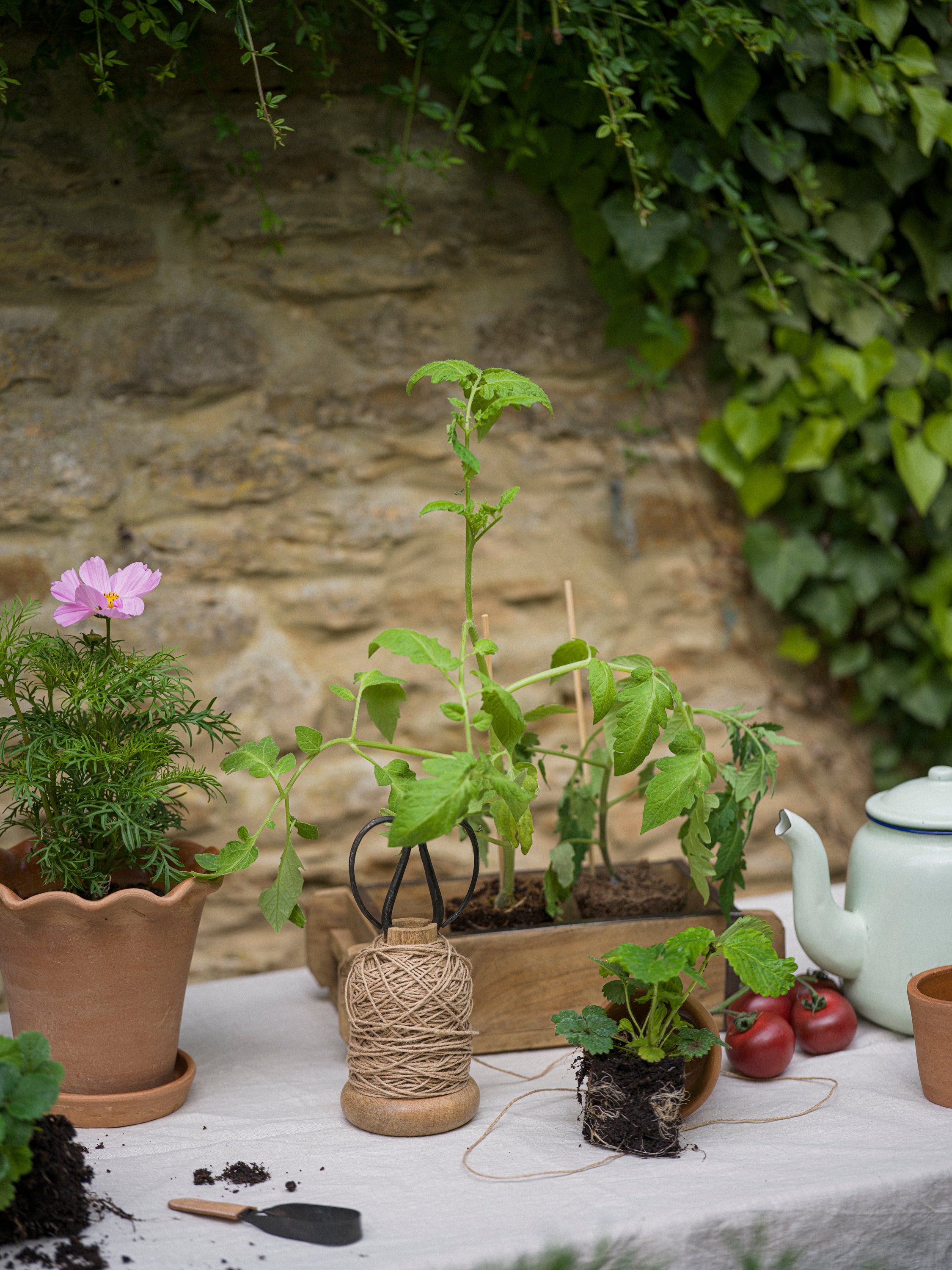 Herb Snippers (in Cotton Bag)