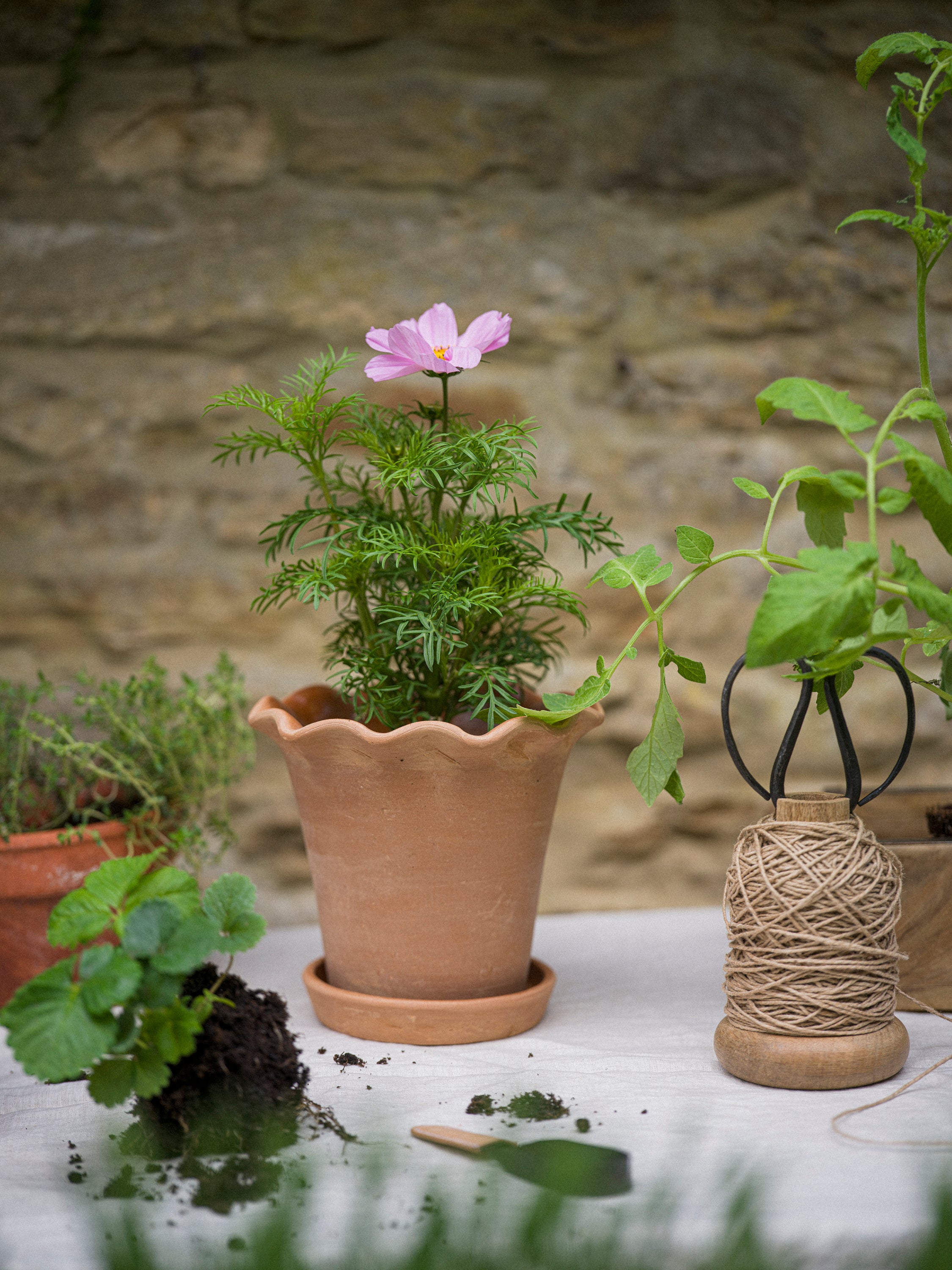 Garden Twine & Scissors (in cotton bag)