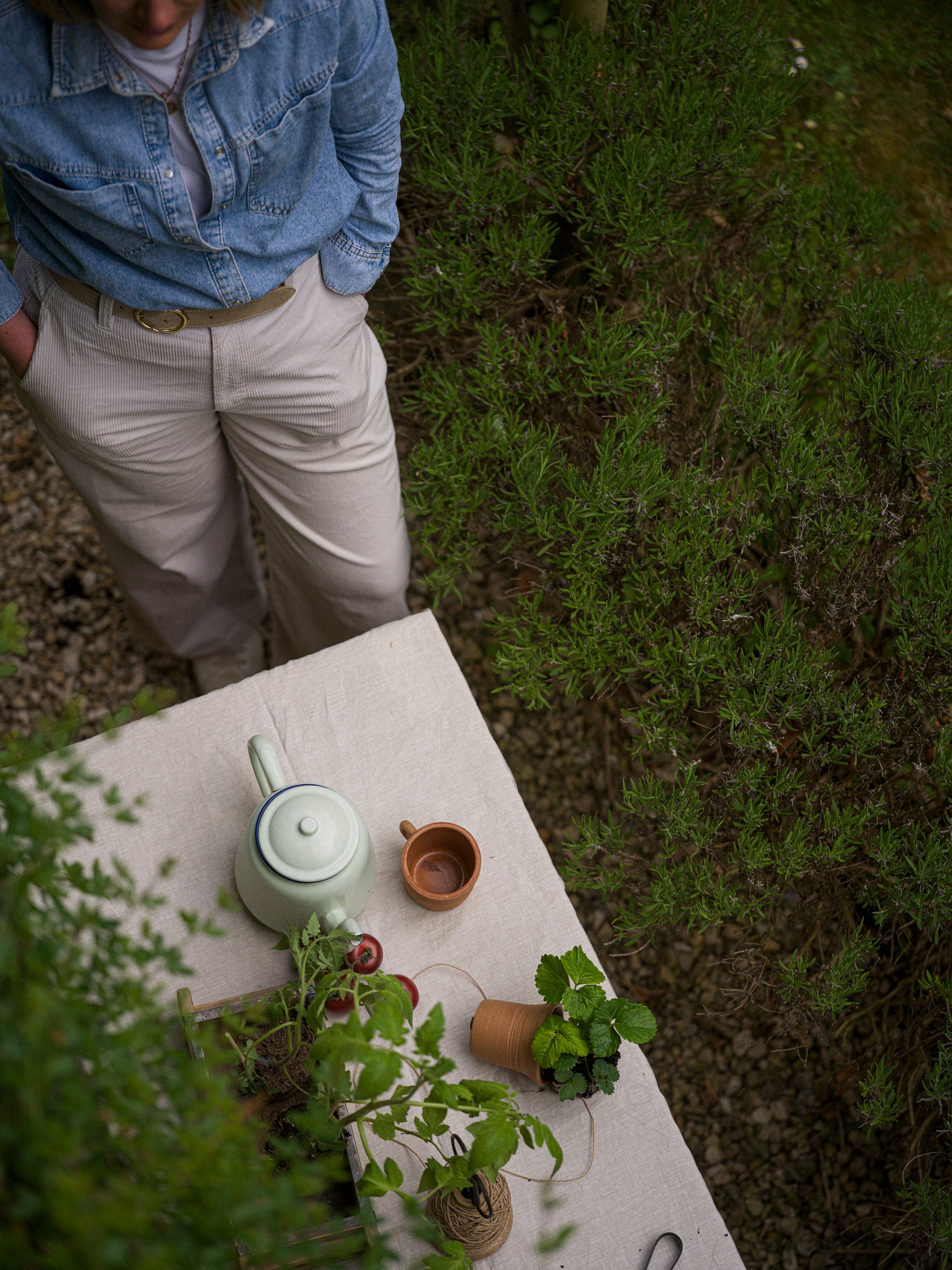 Tuscan Terracotta Cups