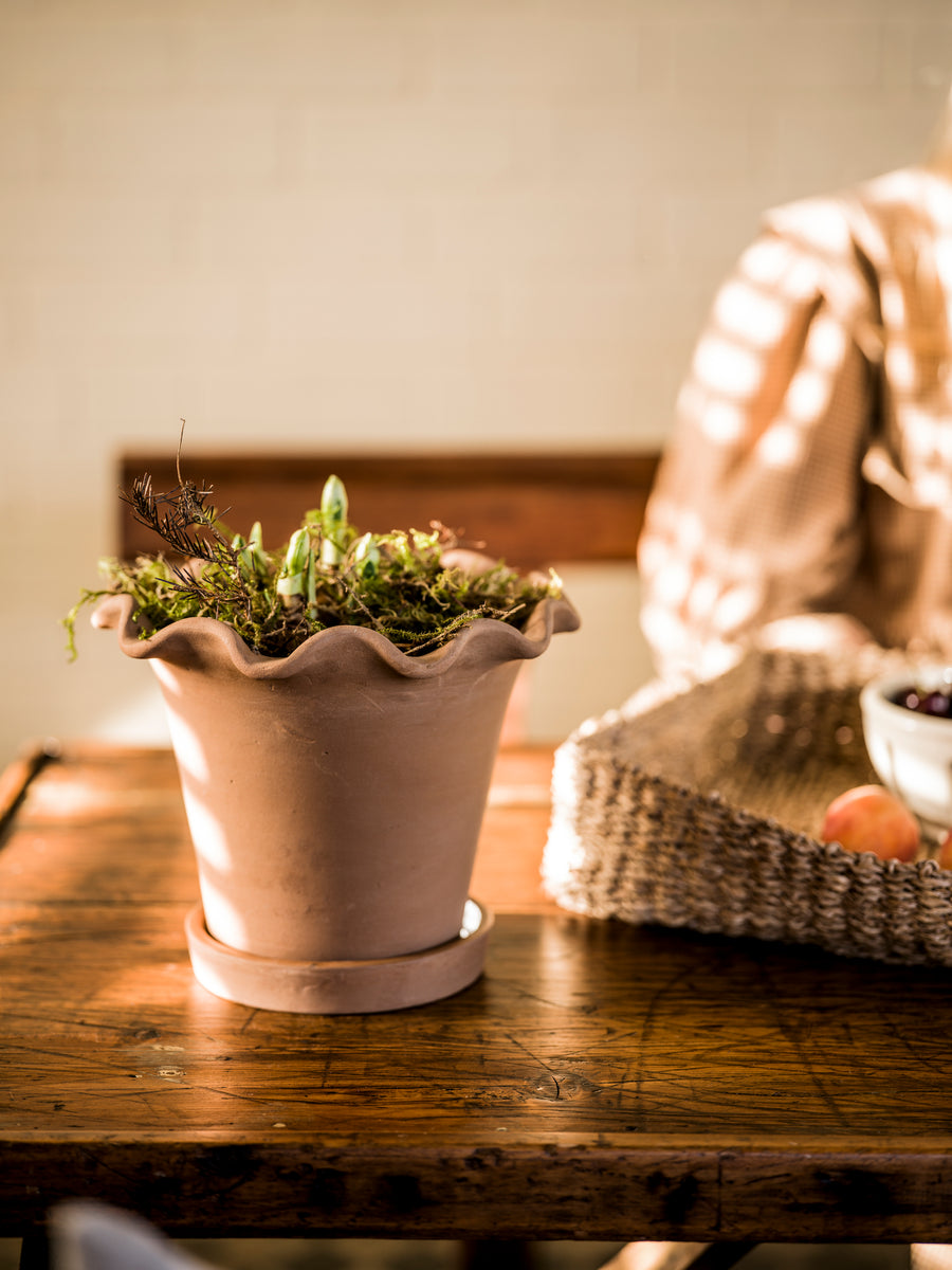 The Frilly Plant Pot