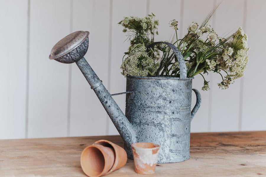 garden salvage inspired watering can