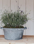 zinc garden planters