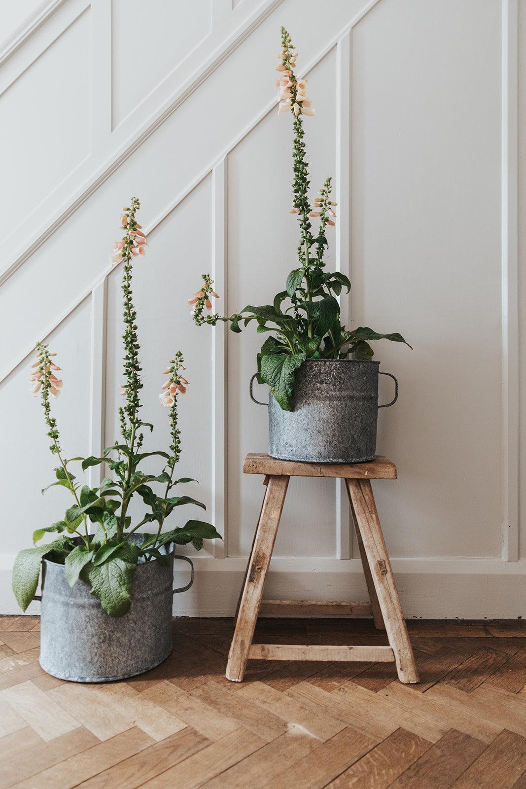 zinc garden planters