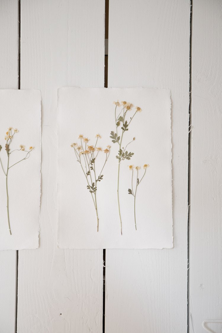 Pressed Wildflower Prints
