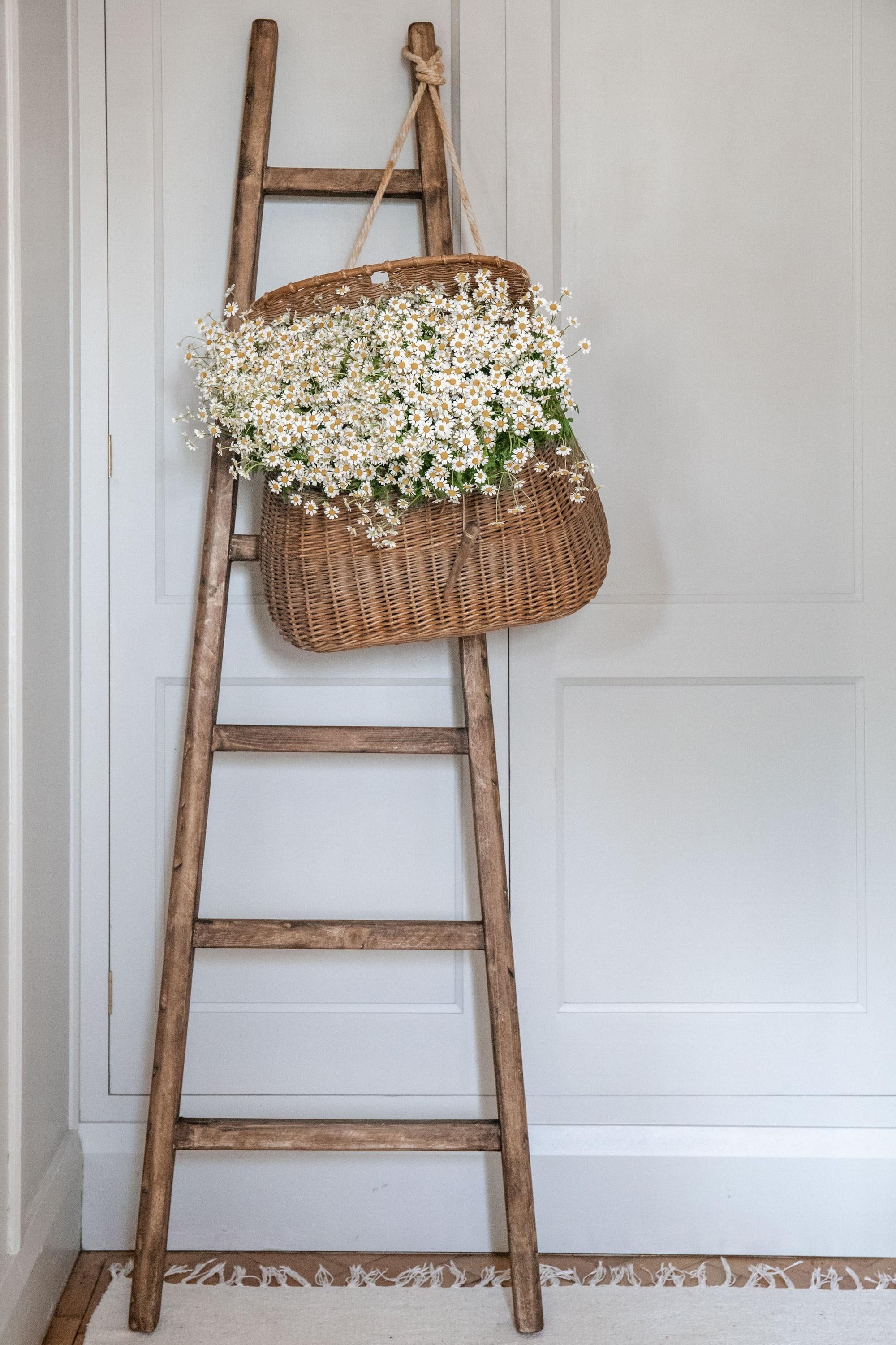The Larder Ladder - Antique Oak