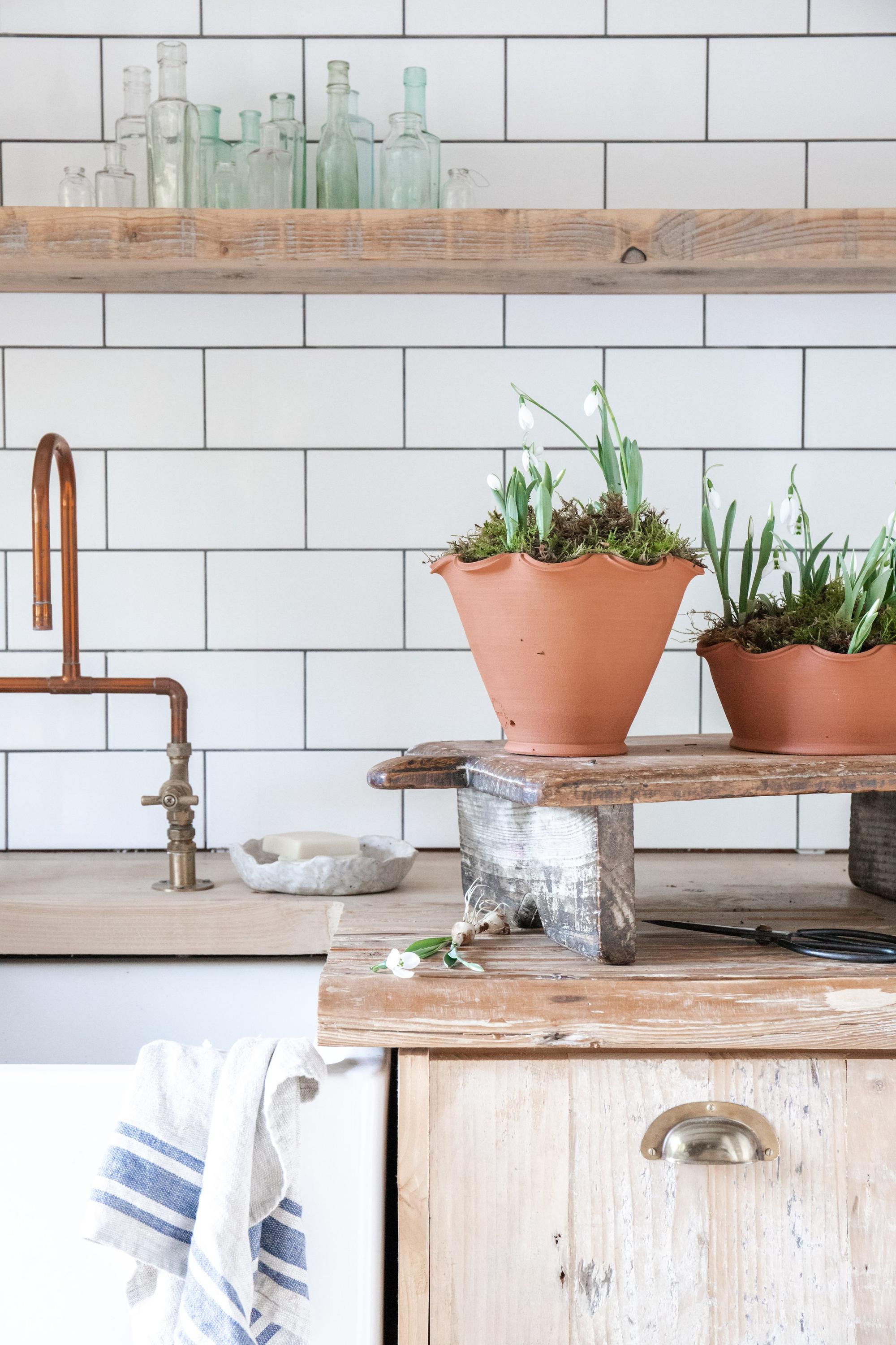 The Fine Frilly Plant Pot