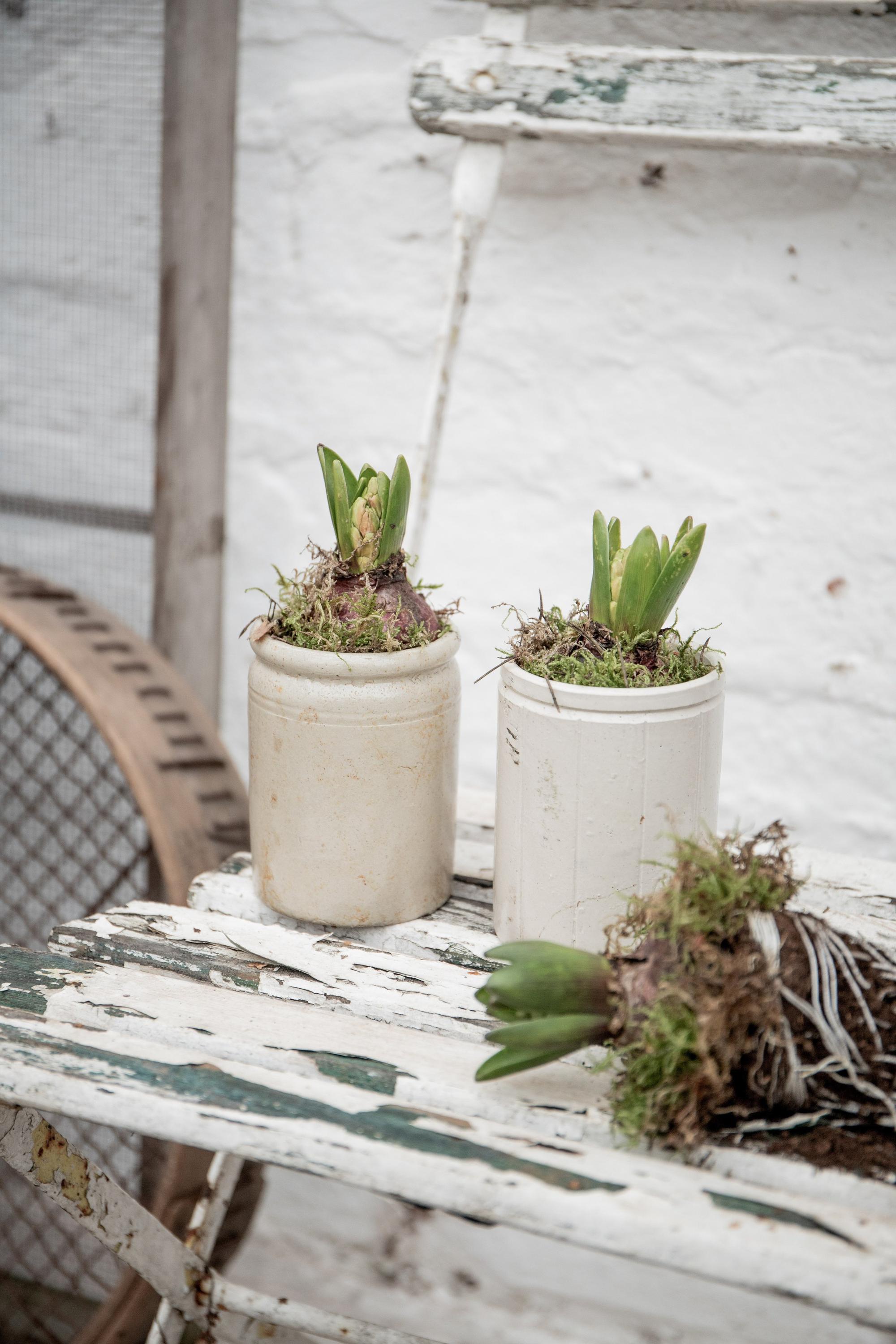 Vintage Marmalade Jars