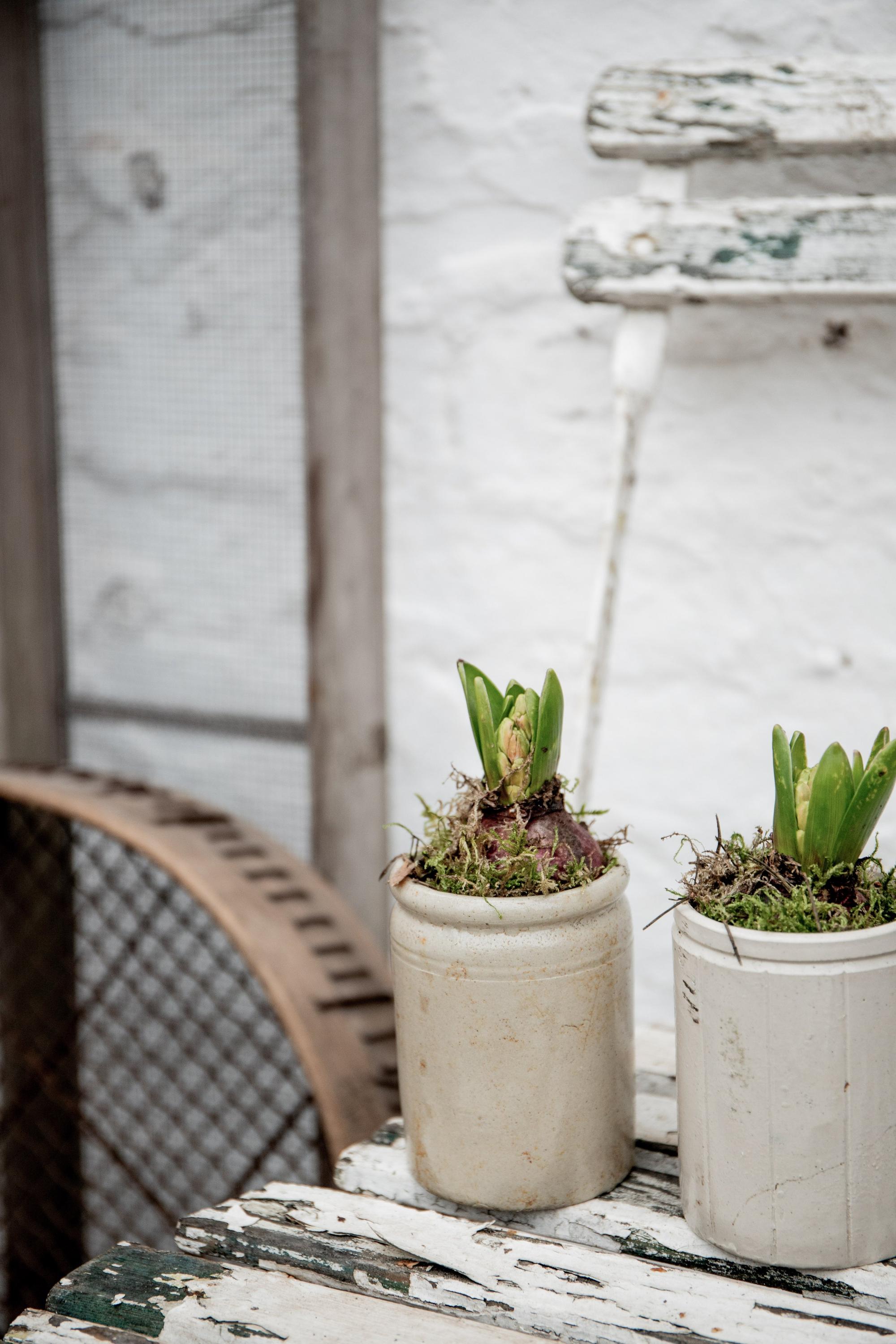 Vintage Marmalade Jars
