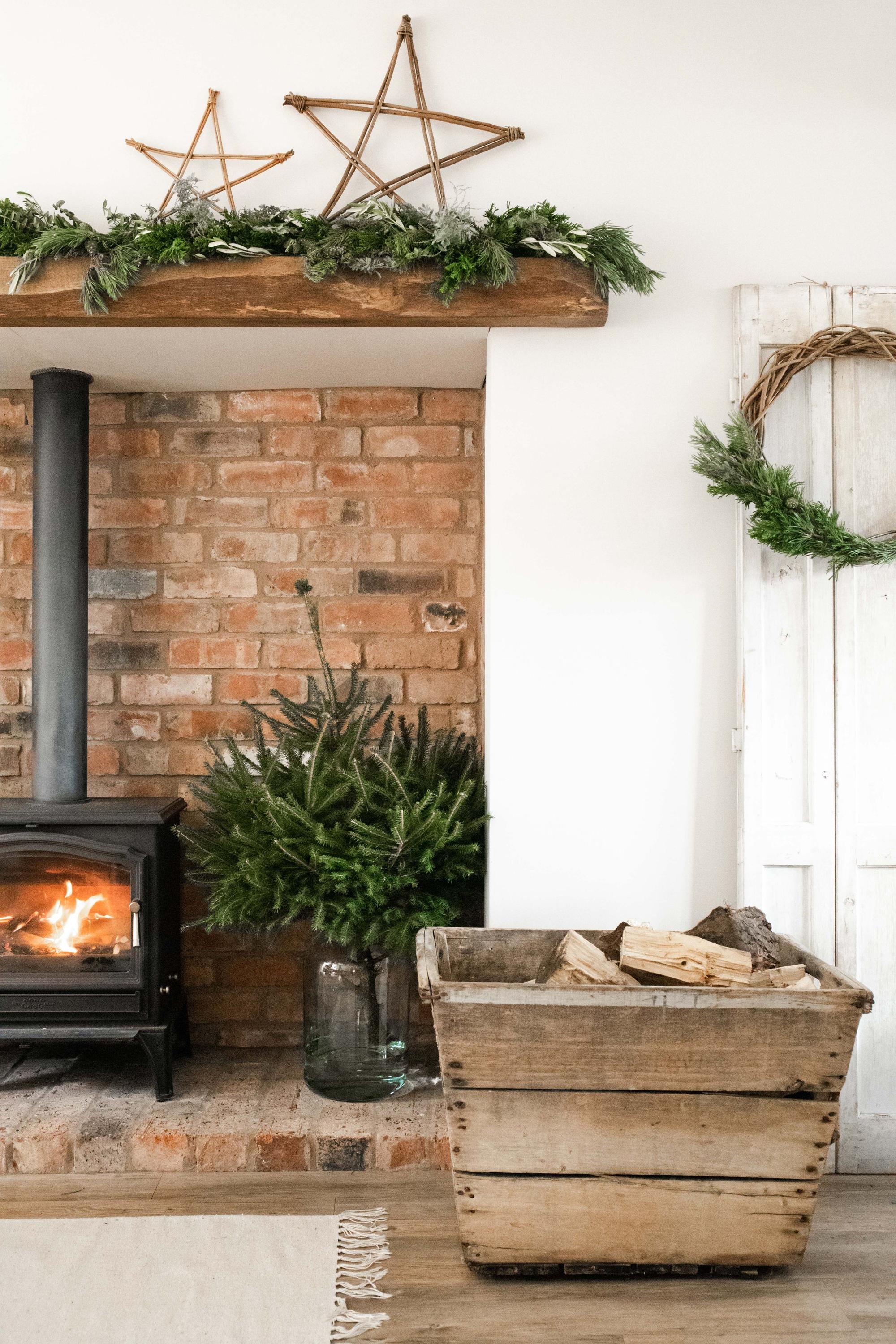 The Willow Star Collection