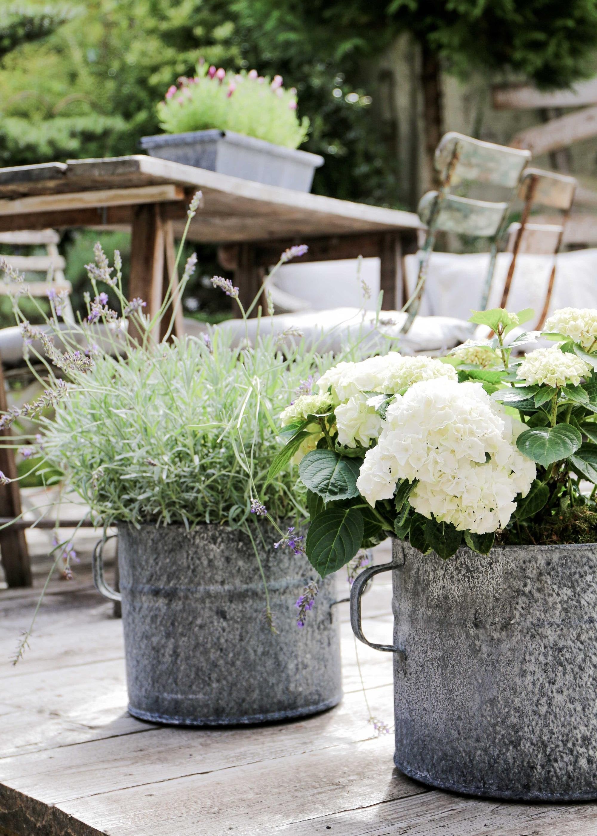 zinc garden planters