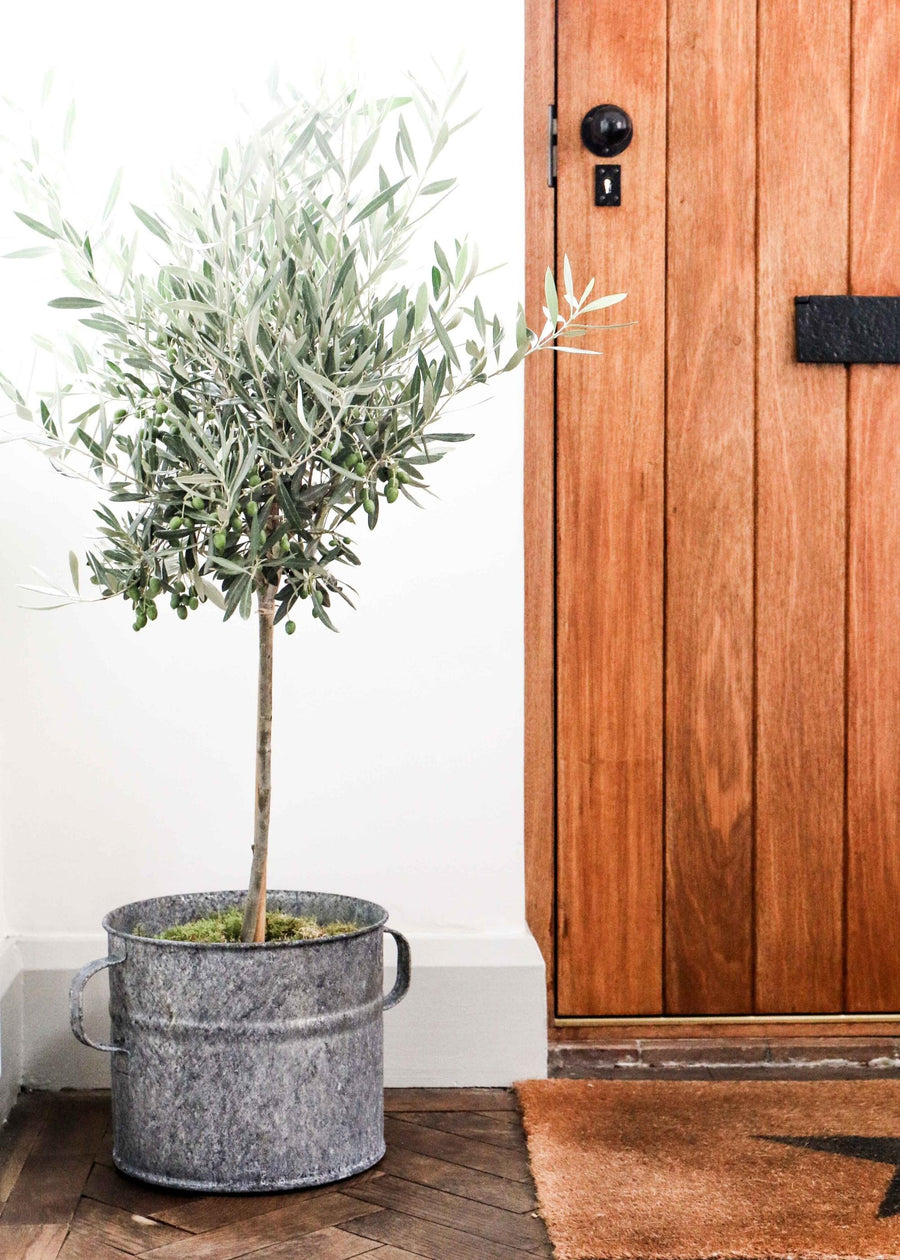 zinc garden planters